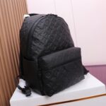 LV 46553 - 图片 2