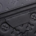 LV 46553 - 图片 5