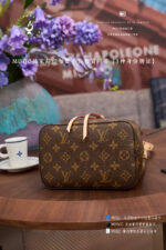 LV 46581 - 图片 8
